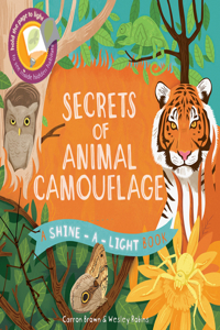 Secrets of Animal Camouflage