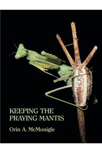 Keeping the Praying Mantis