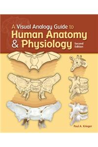 A Visual Analogy Guide to Human Anatomy & Physiology