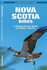 Nova Scotia Birds