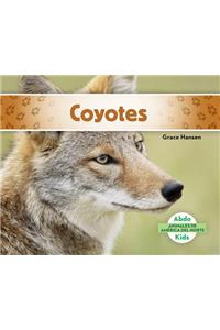 Coyotes (Coyotes) (Spanish Version)