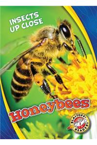 Honeybees