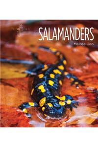 Salamanders