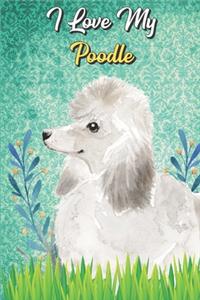 I Love My Poodle