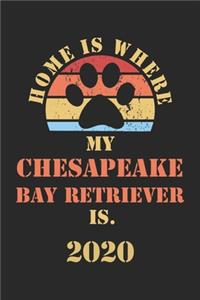 Chesapeake Bay Retriever 2020