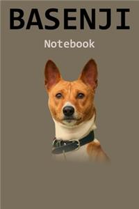 Basenji Notebook