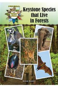 Keystone Species That Live in Forests