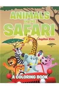 Animals in the Safari
