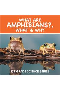 What Are Amphibians?, What & Why