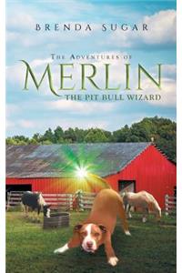 The Adventures of Merlin the Pit Bull Wizard