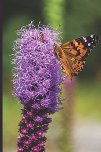 Butterfly Journal