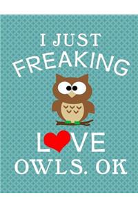 I Love Owls Notebook