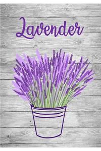 Lavender