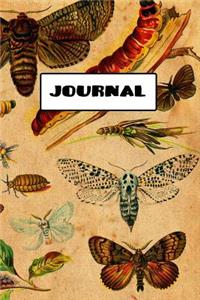 Journal