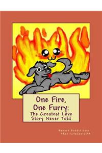 One Fire, One Furry