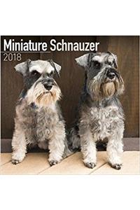 Miniature Schnauzer Calendar 2018