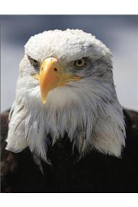 Eagle Composition Book