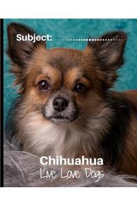 Chihuahua- Live Love Dogs!
