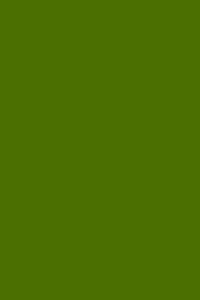 Olive Green 190 - Blank Notebook: Soft Cover, 6 x 9 Journal, 190 Pages