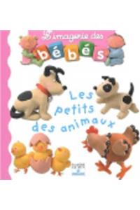 Imagerie DES Bebes