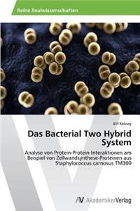 Das Bacterial Two Hybrid System