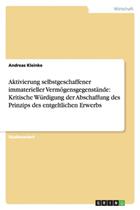 Aktivierung selbstgeschaffener immaterieller Vermögensgegenstände