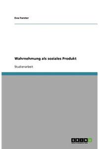 Wahrnehmung als soziales Produkt