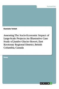 Assessing The Socio-Economic Impact of Large-Scale Projects