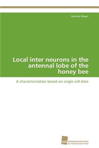 Local inter neurons in the antennal lobe of the honey bee