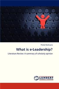 What Is E-Leadership?