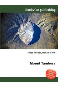 Mount Tambora