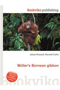 Muller's Bornean Gibbon