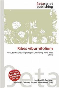 Ribes Viburnifolium