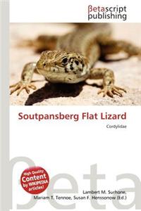 Soutpansberg Flat Lizard