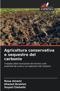 Agricoltura conservativa e sequestro del carbonio