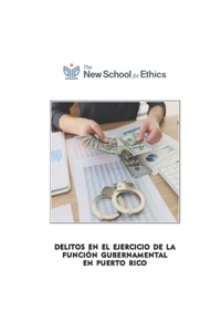 Delitos en el ejercicio de la función gubernamental en Puerto Rico