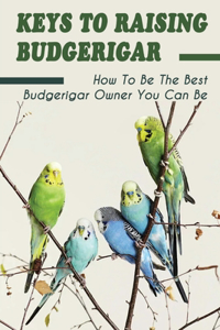 Keys To Raising Budgerigar