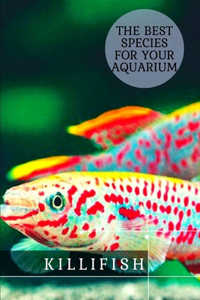 Killifish