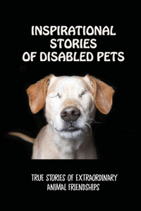 Inspirational Stories Of Disabled Pets