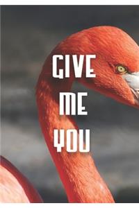 Give Me You