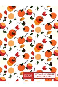 Income and Expense Ledger Book - Seven Columns