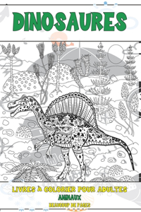Livres à colorier pour adultes - Beaucoup de pages - Animaux - Dinosaures