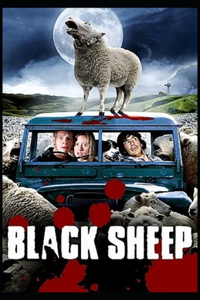 The Black Sheep