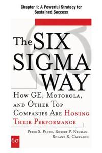 [Chapter 1] a Powerful Strategy for Sustained Success: Excerpt from the Six SIGMA Way