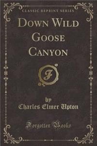 Down Wild Goose Canyon (Classic Reprint)