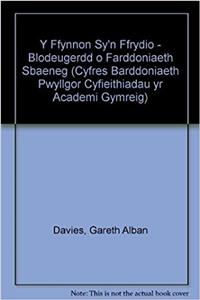 Y Ffynnon sy'n Ffrydio