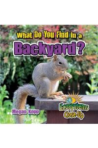 What Do You Find in a Backyard?