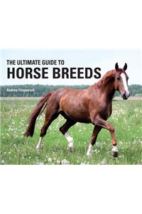 The Ultimate Guide to Horse Breeds