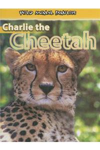 Charlie the Cheetah