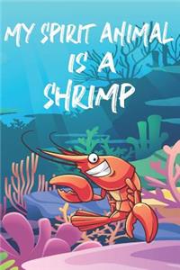 My Spirit Animal Is A Shrimp
